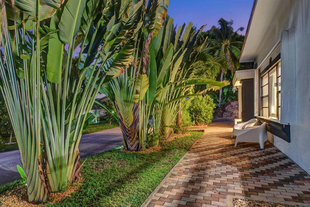 Paradise Palms House Delray Beach Εξωτερικό φωτογραφία